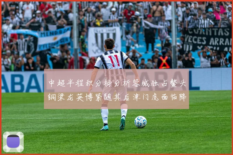 中超半程积分榜分析蓉城独占鳌头铜梁龙英博紧随其后津门虎面临降级危机