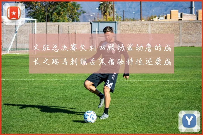 文班总决赛失利回顾幼鲨幼詹的成长之路马刺能否凭借独特性逆袭成功